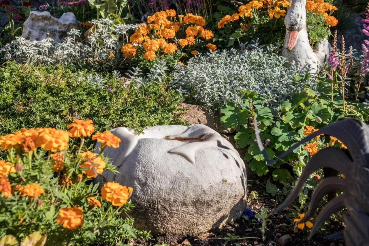 Tonigbauernhof Blumenwiese Schenna Dış mekan fotoğraf